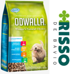 ODWALLA Cachorro