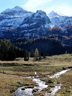 Cuadro Nieve Blanco Arboles Naturaleza M1