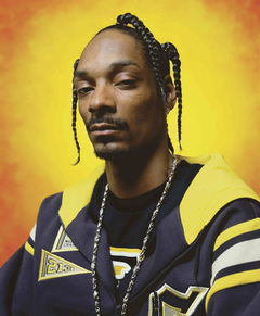 Cuadro Snoop Dogg Rap Hip Hop West Coast Weed #3 - comprar online