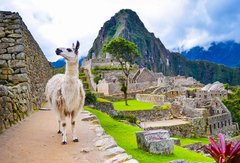 Cuadro Machu Picchu Peru Inca Cultura Turismo #3