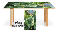 Vinilo Para Mesa Uvas Grapes Viniedo Frutas Semillas #7