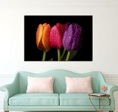 Cuadro Tres Tulipanes Naranja Rosa Violeta Rocio - comprar online