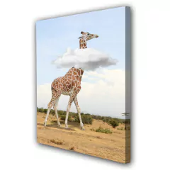 Cuadro Jirafa Fauna Silvestre Salvaje Africa Desierto Sabana Nube M3
