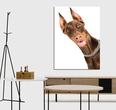 Cuadro Perro Doberman Veterinaria