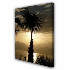 Cuadro Palmeras Clima Tropical Sol Playa Relax M3