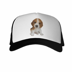 Gorra Perro Beagle Bebe Tierno - comprar online