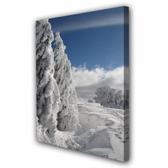 Cuadro Invierno Nieve Naturaleza Hielo Montaña Bosque Alpes Nevado Frio M1