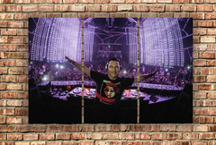 Cuadro Triptico Dj Tiesto Electronica #2