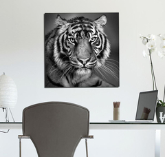 Cuadro Tigre Blanco & Negro Wild Nature Selva