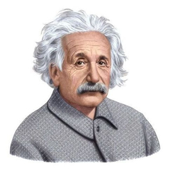 Cuadro Einstein Genio Cientifico Fisica Matematica #2