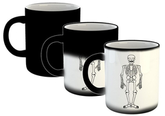 Taza Esqueleto Bones Huesos Cuerpo Humano #5