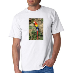 Remera Loro Guacamayo Aves Colores Selva Naturaleza #3