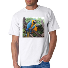 Remera Loro Guacamayo Aves Colores Selva Naturaleza #7