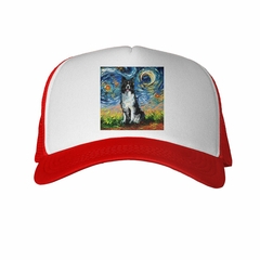 Gorra Border Collie Noche Estrellada en internet