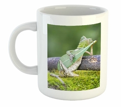 Taza Camaleon Rock Guitarra Foto Naturaleza