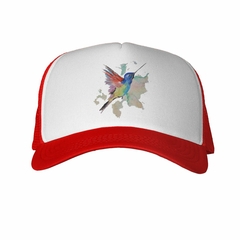 Gorra Colibri Dibujo Colores en internet