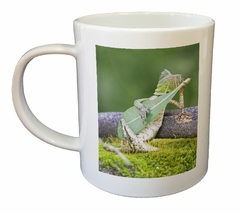 Taza Camaleon Rock Guitarra Foto Naturaleza - comprar online