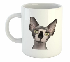 Taza Gato Sphynx Cara Curiosa