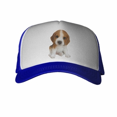 Gorra Perro Beagle Bebe Tierno