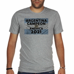 Remera Bandera Argentina Campeon De America M2