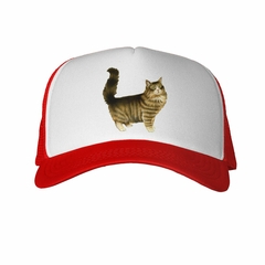 Gorra Gato Persa Con La Cola Parada en internet