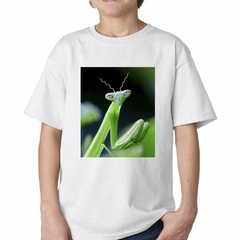 Imagen de Remera Mantis Mantodeos Ojos Antenas Foto