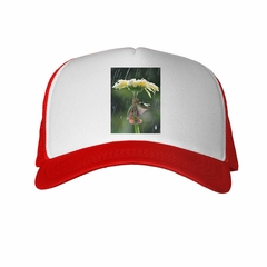 Gorra Rana Flor Lluvia Naturaleza en internet