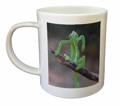 Taza Camaleon Lagarto Reptil Verde Pose Brazo (Taza De Ceramica) en internet