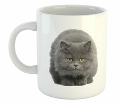 Taza Gato Azul Ruso Sentado En Cuatro Patas