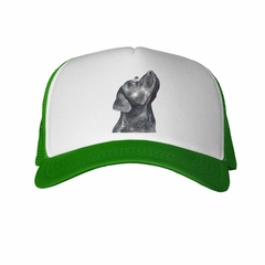 Gorra Perro Labrador Chocolate Pintura - TiendaCubik