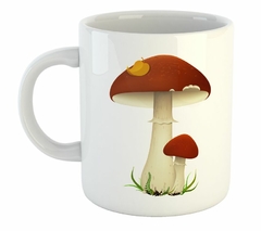Taza Background Mushrooms Hongo
