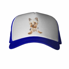 Gorra Perro Yorkshire Posando