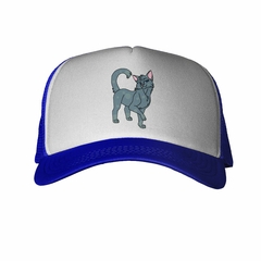 Gorra Gato Naranja Ilustracion Art