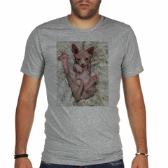 Remera Gato Sphynx Bebe Descansando - tienda online