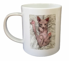 Taza Gato Sphynx Bebe Descansando - comprar online