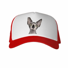 Gorra Gato Sphynx Cara Curiosa en internet