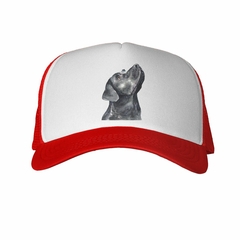 Gorra Perro Labrador Chocolate Pintura en internet