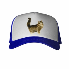 Gorra Gato Persa Con La Cola Parada