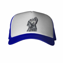 Gorra Perro Labrador Chocolate Pintura