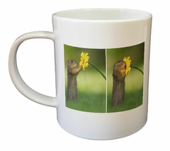 Taza Ardilla Flor Amarilla 2 Poses - TiendaCubik