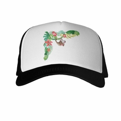 Gorra Mono Trepandose Arbol Hojas - comprar online