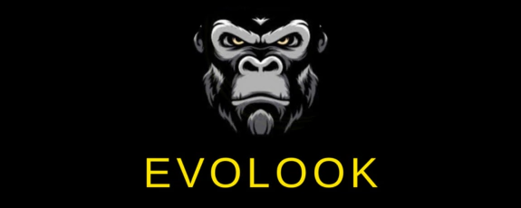 Evolook