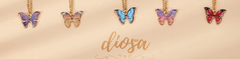 Banner de la categoría Coleccion: Mariposas
