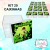 20 Lembrancinhas Ben 10 - Caixinhas Acrílicas Personalizadas