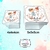 100 Caixinhas Acrílicas Personalizadas - Lembrancinha Casamento/ Noivado/ Bodas na internet