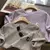 Conjunto Wow - loja online