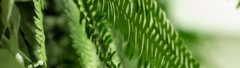 Banner da categoria Nichos