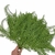 Maço Folhas Samambaia Preservada - comprar online