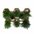 Nicho Samambaia Pluma - comprar online