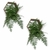 Nicho Samambaia do Campo - comprar online